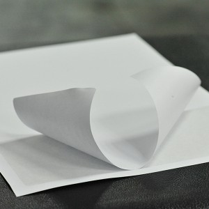 OEM Customized China 6X4 A4 Integrated Label Invoice Paper Sticky Address Sheets